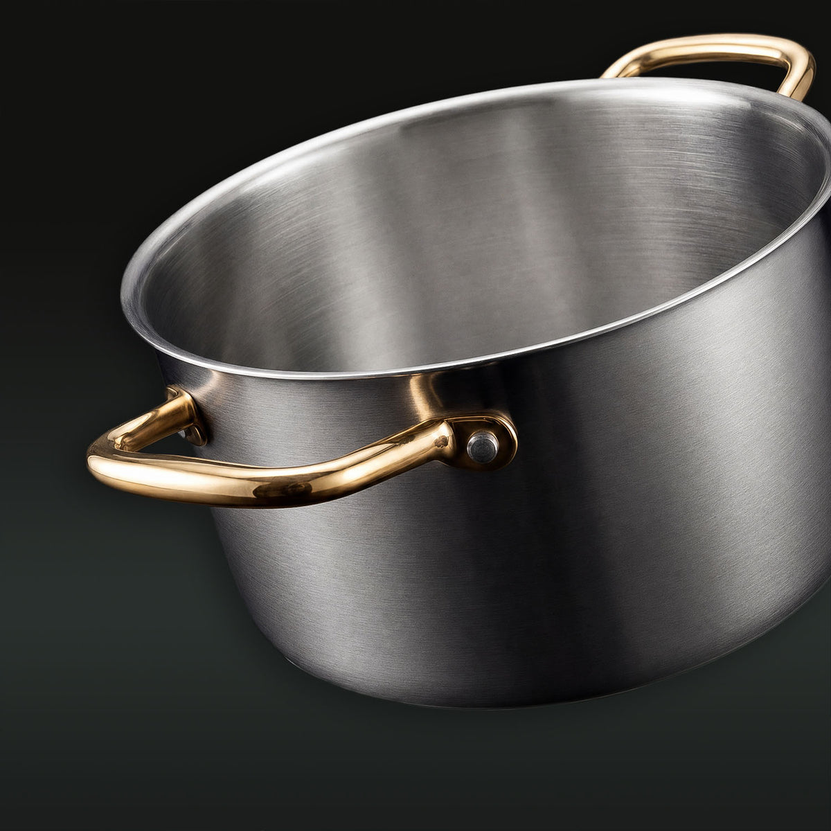 Taima Titanium Nutri Pot Pro
